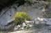 chorvatsko-brela-img_0418.jpg