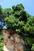 chorvatsko-podgora-img_0556.jpg