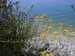 chorvatsko-priroda-dscn4902.jpg