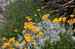 chorvatsko-priroda-img_0540.jpg
