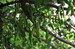 chorvatsko-priroda-img_0682.jpg