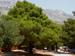 chorvatsko-zivogosce-dscn4785.jpg