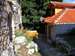 chorvatsko-zivogosce-dscn5262.jpg