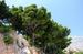 chorvatsko-zivogosce-img_0517.jpg