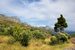 chorvatsko-zivogosce-img_0647.jpg