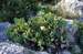 chorvatsko-zivogosce-img_0655.jpg